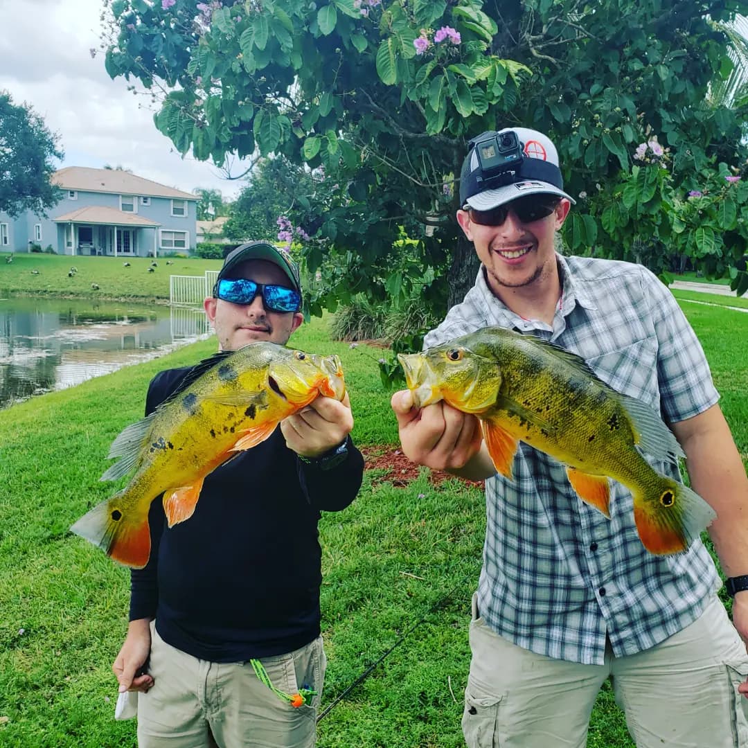 Two anglers holding peacock bass