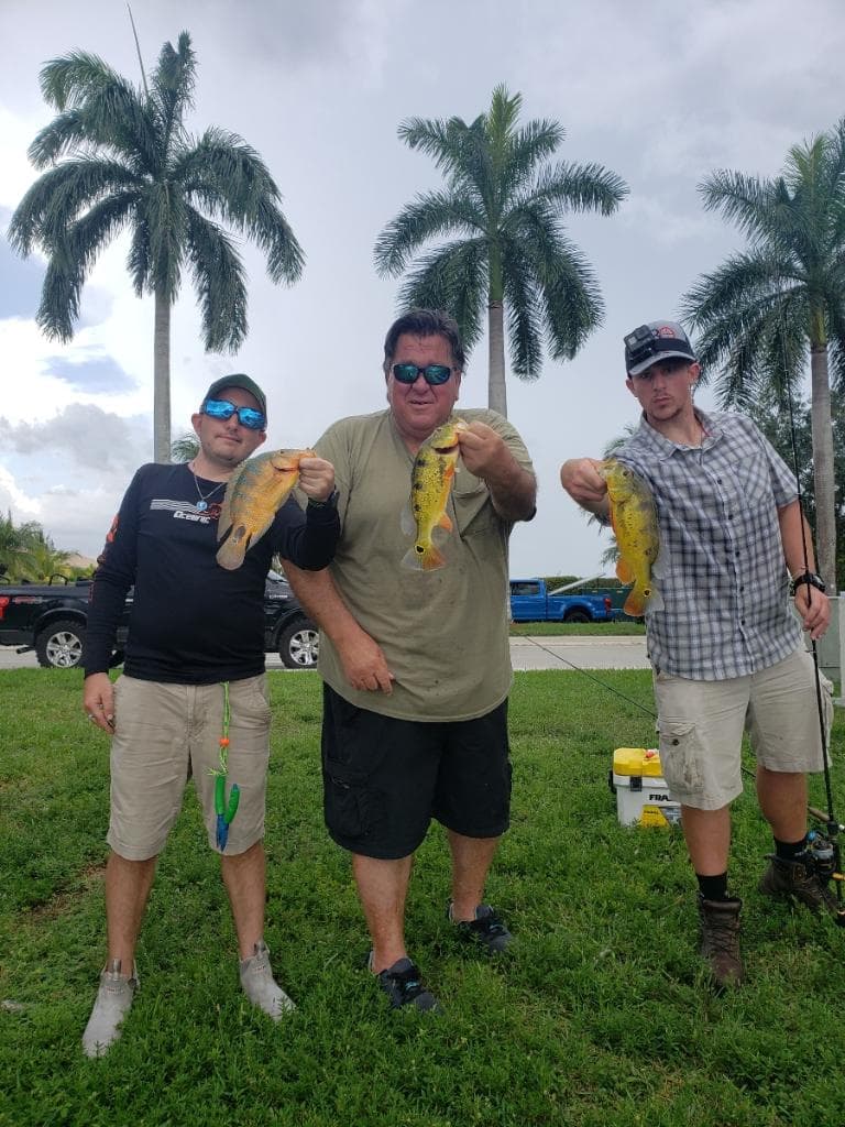 Three anglers each holding a peacock bass under palm trees